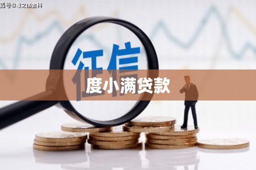 龙城度小满贷款