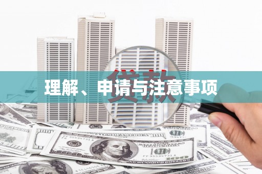 龙城理解、申请与注意事项