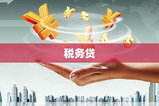 龙城税务贷