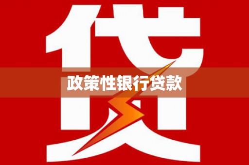 龙城政策性银行贷款