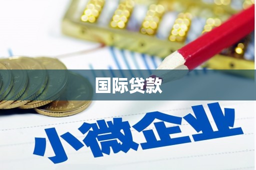 龙城国际贷款