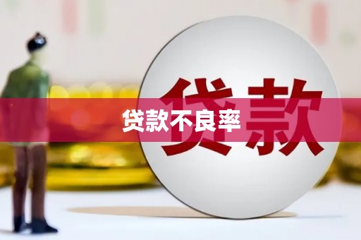 龙城贷款不良率