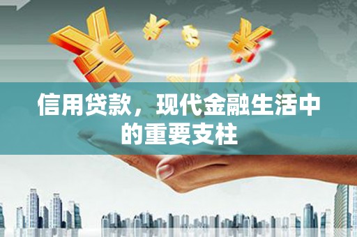 龙城信用贷款，现代金融生活中的重要支柱