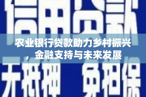 龙城农业银行贷款助力乡村振兴，金融支持与未来发展
