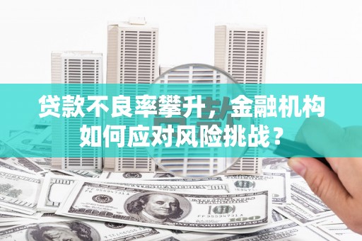 龙城贷款不良率攀升，金融机构如何应对风险挑战？