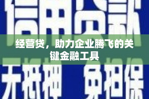龙城经营贷，助力企业腾飞的关键金融工具