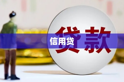龙城信用贷