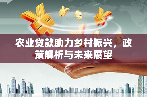 龙城农业贷款助力乡村振兴，政策解析与未来展望