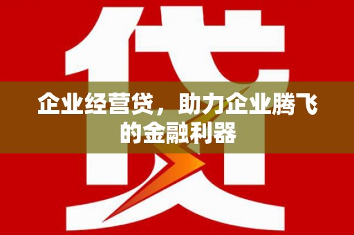 龙城企业经营贷，助力企业腾飞的金融利器
