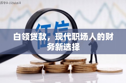 龙城白领贷款，现代职场人的财务新选择