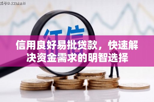 龙城信用良好易批贷款，快速解决资金需求的明智选择