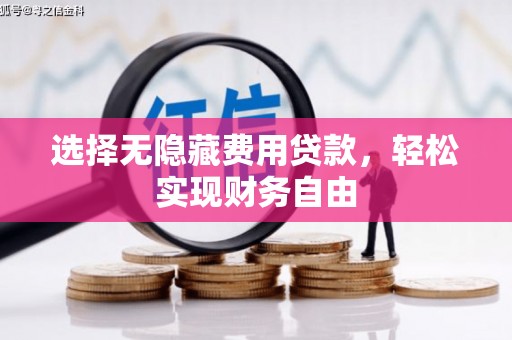 龙城选择无隐藏费用贷款，轻松实现财务自由