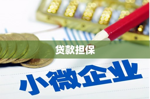 龙城贷款担保