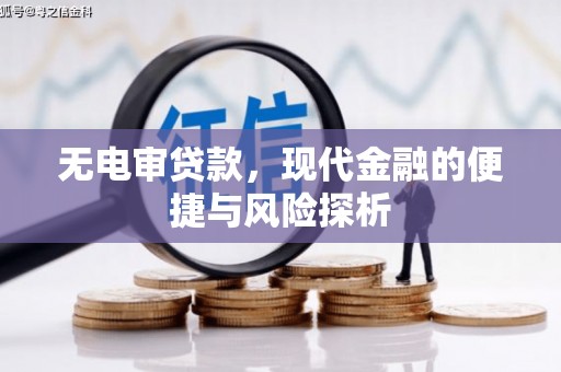 龙城无电审贷款，现代金融的便捷与风险探析