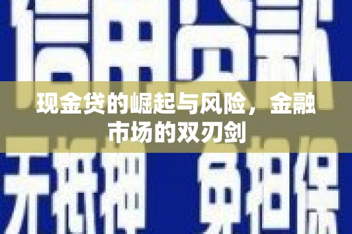 龙城现金贷的崛起与风险，金融市场的双刃剑
