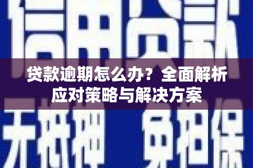 龙城贷款逾期怎么办？全面解析应对策略与解决方案