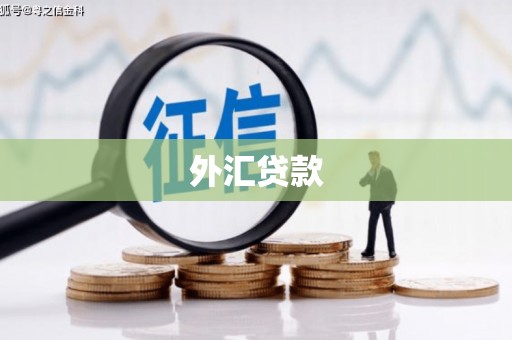 龙城外汇贷款