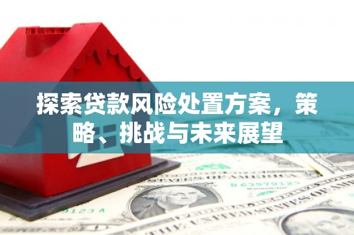 龙城探索贷款风险处置方案，策略、挑战与未来展望