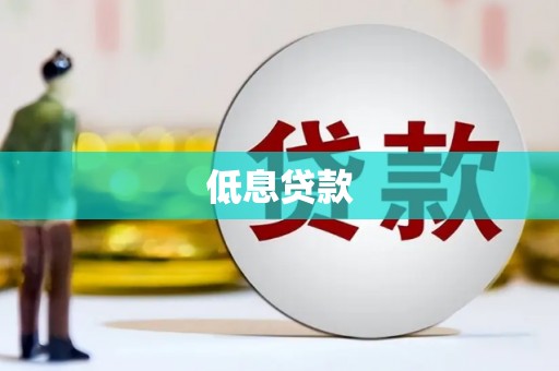 龙城低息贷款