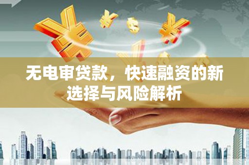 龙城无电审贷款，快速融资的新选择与风险解析