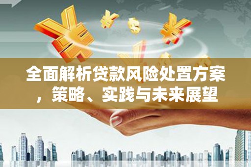 龙城全面解析贷款风险处置方案，策略、实践与未来展望