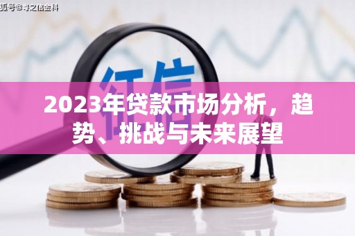 龙城2023年贷款市场分析，趋势、挑战与未来展望