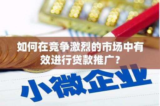龙城如何在竞争激烈的市场中有效进行贷款推广？