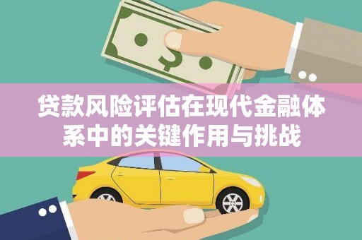 龙城贷款风险评估在现代金融体系中的关键作用与挑战