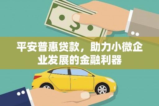 龙城平安普惠贷款，助力小微企业发展的金融利器