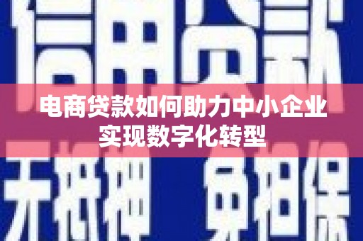 龙城电商贷款如何助力中小企业实现数字化转型