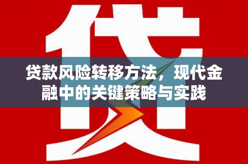 龙城贷款风险转移方法，现代金融中的关键策略与实践