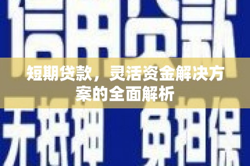 龙城短期贷款，灵活资金解决方案的全面解析