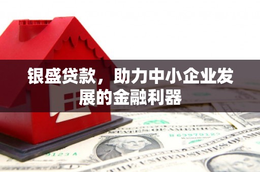 龙城银盛贷款，助力中小企业发展的金融利器