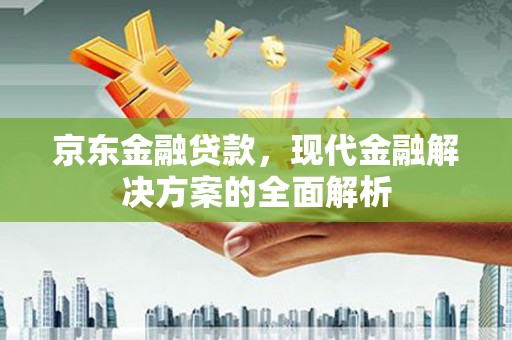 龙城京东金融贷款，现代金融解决方案的全面解析