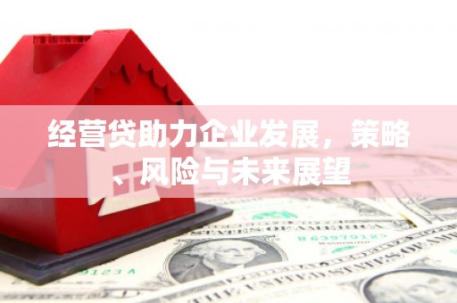 龙城经营贷助力企业发展，策略、风险与未来展望