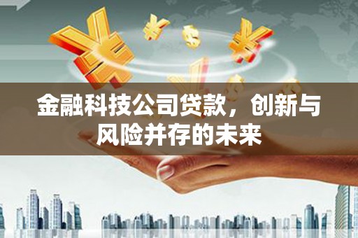 龙城金融科技公司贷款，创新与风险并存的未来