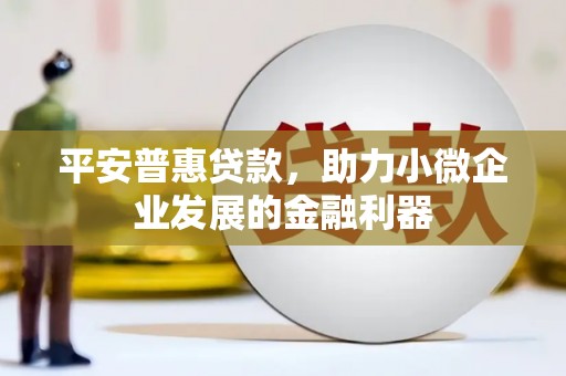 龙城平安普惠贷款，助力小微企业发展的金融利器