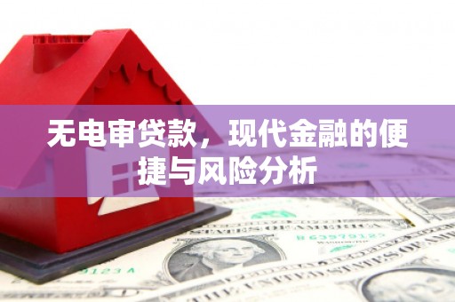 龙城无电审贷款，现代金融的便捷与风险分析