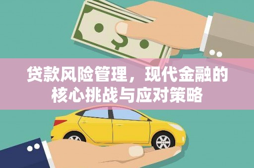 龙城贷款风险管理，现代金融的核心挑战与应对策略