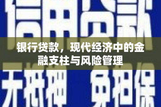 龙城银行贷款，现代经济中的金融支柱与风险管理
