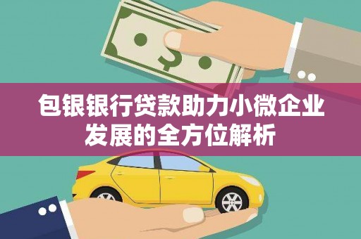 龙城包银银行贷款助力小微企业发展的全方位解析