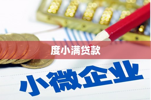 龙城度小满贷款