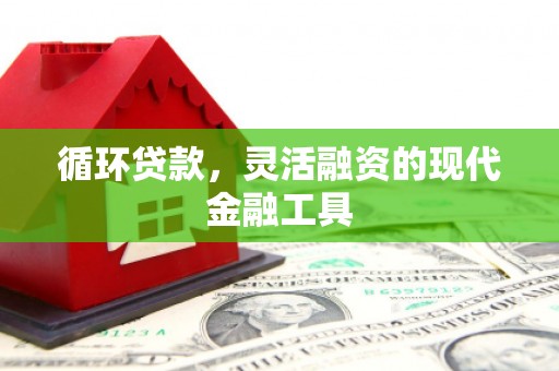 龙城循环贷款，灵活融资的现代金融工具