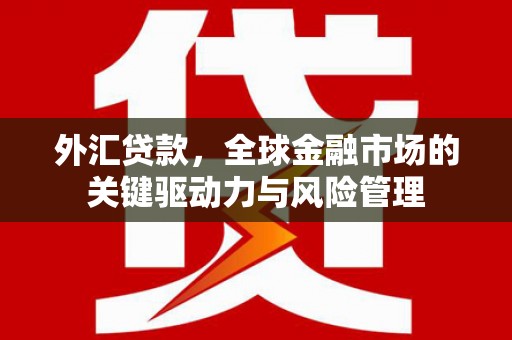 龙城外汇贷款，全球金融市场的关键驱动力与风险管理
