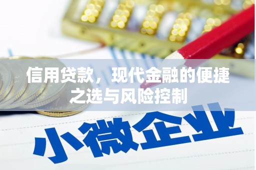龙城信用贷款，现代金融的便捷之选与风险控制