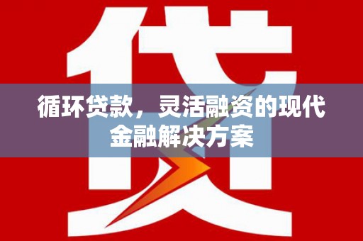龙城循环贷款，灵活融资的现代金融解决方案