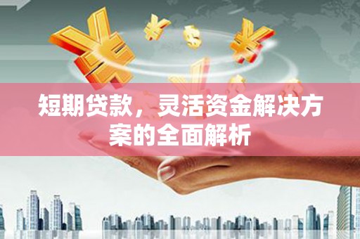龙城短期贷款，灵活资金解决方案的全面解析