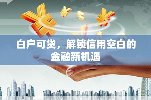 龙城白户可贷，解锁信用空白的金融新机遇