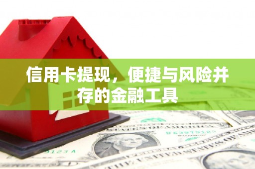 龙城信用卡提现，便捷与风险并存的金融工具