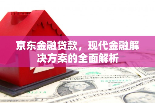 龙城京东金融贷款，现代金融解决方案的全面解析